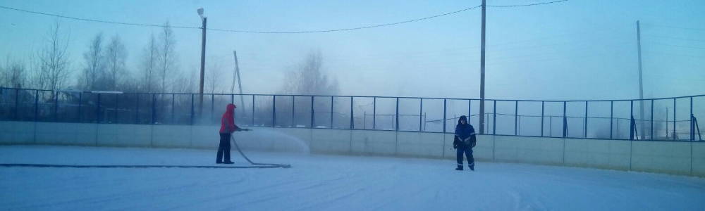 Поддержка хоккея